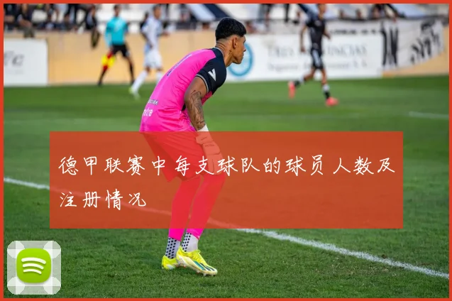 德甲联赛中每支球队的球员人数及注册情况