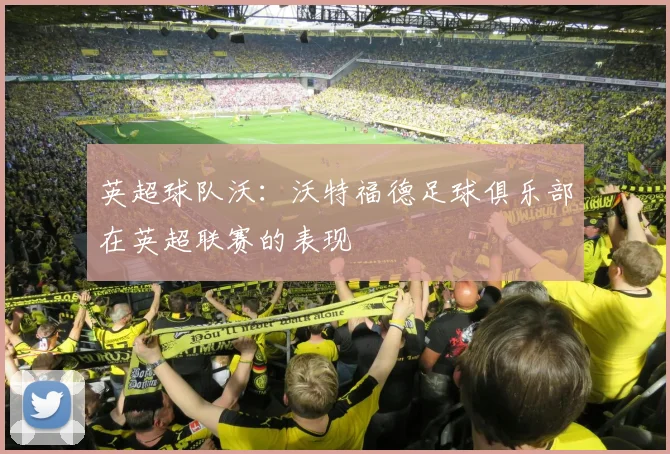 英超球队沃:沃特福德足球俱乐部在英超联赛的表现